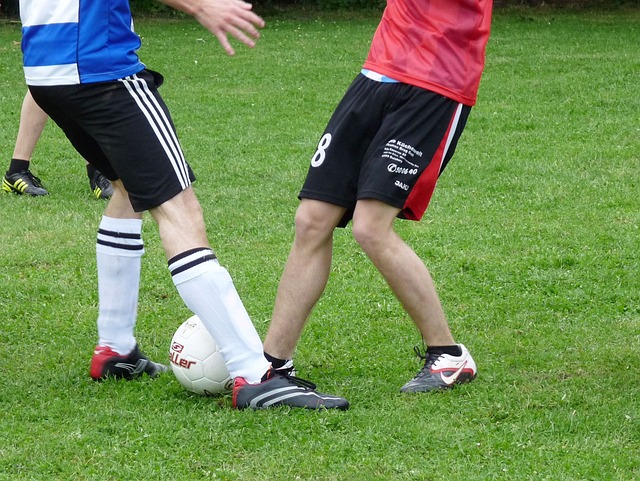 己的转会条 己的转会条