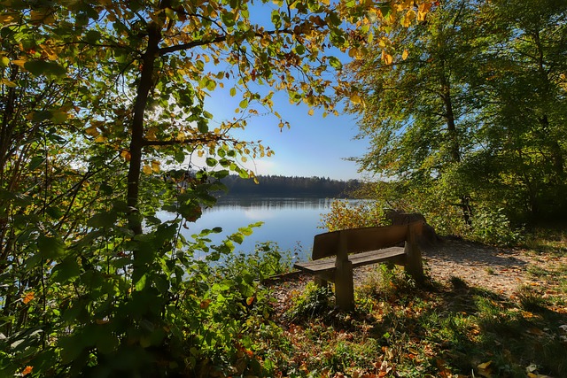 從詹姆斯的 從詹姆斯的