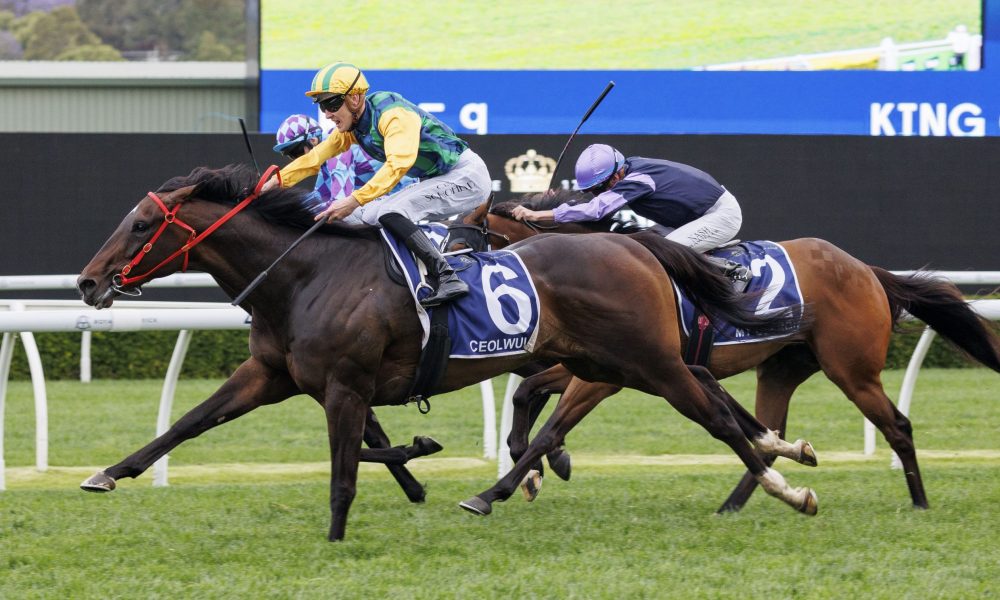 [流言板]Relevo：皇马球员讨论维尼修斯情况，称他难拒沙特巨额报价18亮56回复.